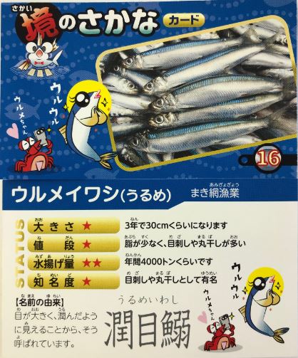 カード レシピ完成 美保湾の魚カード カンタン時短レシピを配布しています 境港観光ガイド さかいみなと と